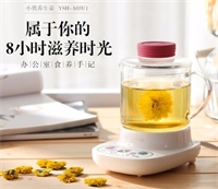 養(yǎng)生壺