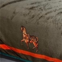 “路易索”奢品藝術(shù)毯 PG-Z3003