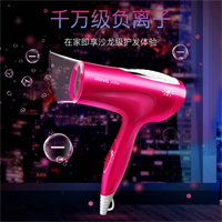 電吹風(fēng)——RC-7301-HS
