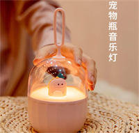 音樂(lè)小夜燈